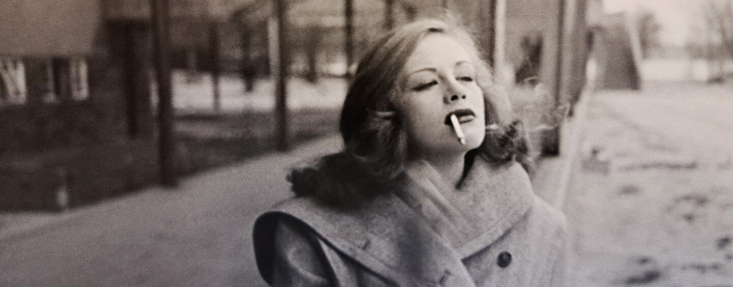 banner_hildegard_knef