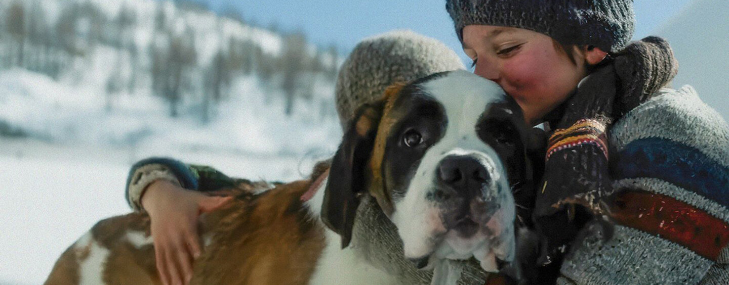 banner_Mein_Freund_Barry